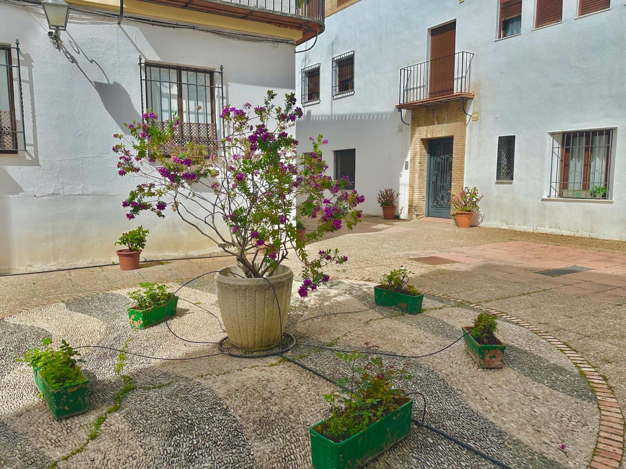 Appartamento Orive House Cordova Esterno foto